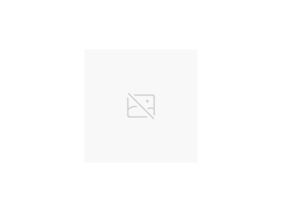 美國力高 RegO ECL502-140經(jīng)濟(jì)/調(diào)節(jié)閥